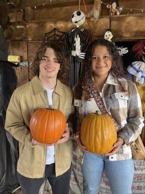 We bought some pumpkins very late into the fall but they were still cute.