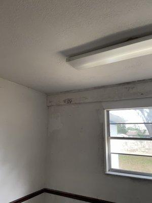 Patched and painted wall?