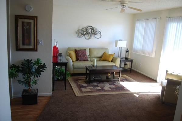 New carpet, ceiling fans, Living room windows and enclosed private patios.  Some with yards. Washer dryer hook ups.