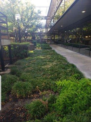 Front view of buildings courtyard