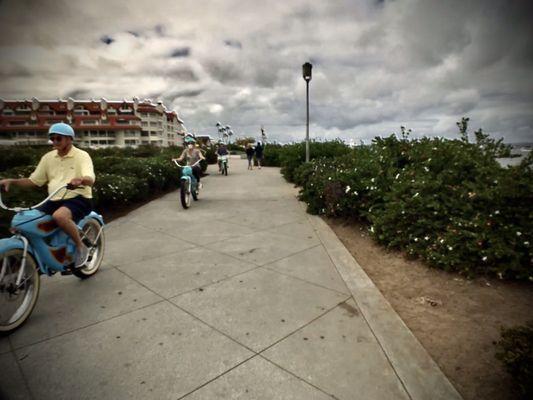 riding bicycles all in a row