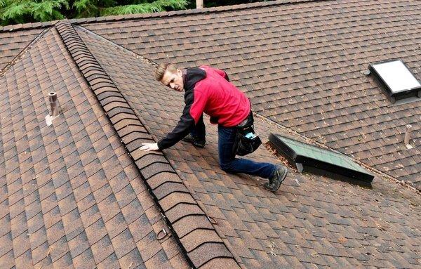 Shingled roof