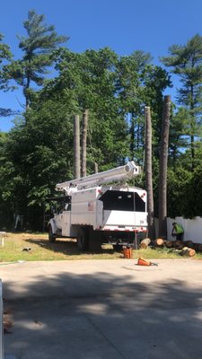 Bucket truck services are available.