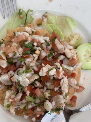 fly in the ceviche