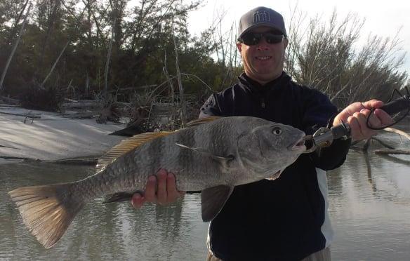 Big winter time black drum