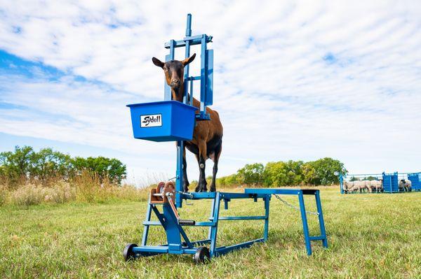 Sydell, Inc. equipment made for small farming goats and sheep