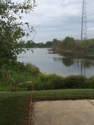 Beautiful pond out back. I saw rabbits, geese & cranes.