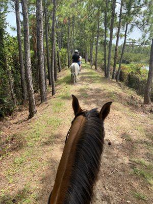 The beautiful trail ride