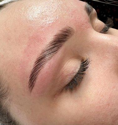 Eyebrow lamination, tint, and wax