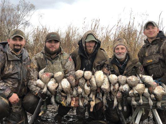 Wigeon beat down in the Big Columbia!