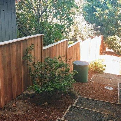 6' tall western red cedar privacy stepping down the hill