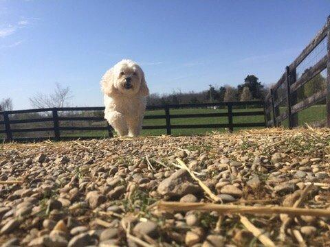 Outdoor playtime