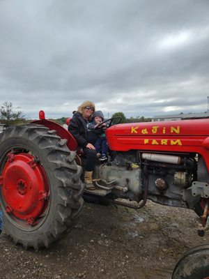 Kajin Christmas Tree Farm