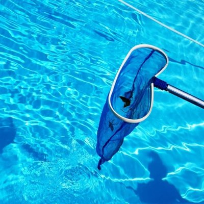 We clean and maintain pools!