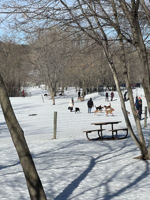 Bryant Lake Dog Park