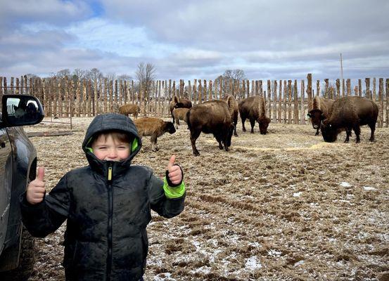 The eldest son helped build the cedar and wire fencing, at 6 years old... gets college fund HE LOVES GOING TO THE VALLEY