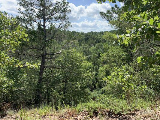 At the top of huckleberry hill, this view! The hiking trails at The Reserve were amazing!