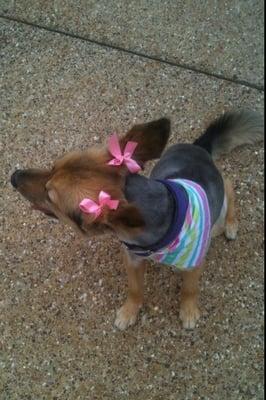 Abby after a groom