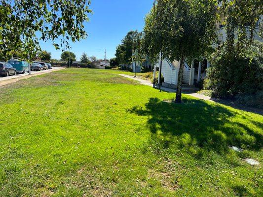 Large spacious lawn in front of building 9 where pets can play.