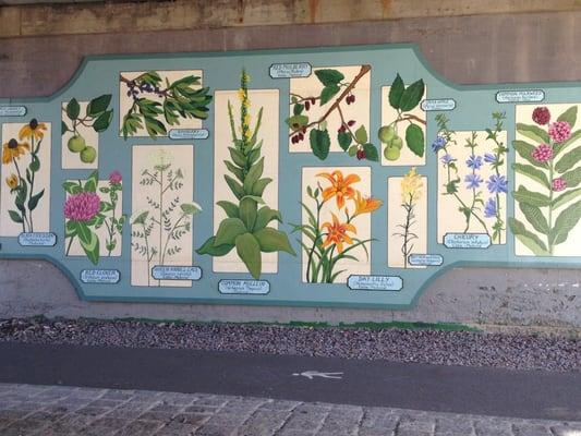 Mural of flowers