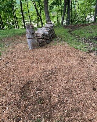 Stump recycled at Barren River Lake near Galscow.