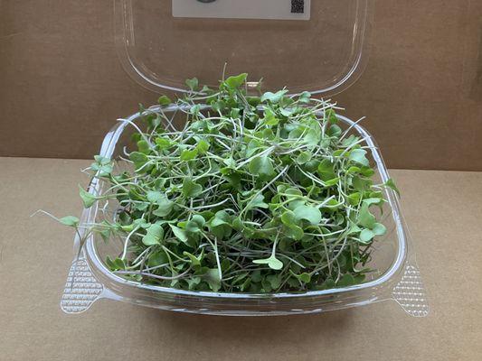 Broccoli microgreens