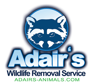 Adair's Wildlife Removal Service