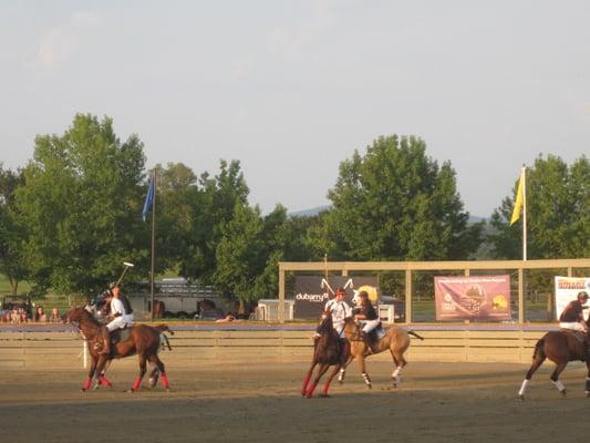 Twilight polo