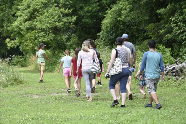 Guided Nature Walks on the Farm