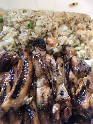 Chicken Teriyaki with fried rice. Exactly what I wanted. Delicious.