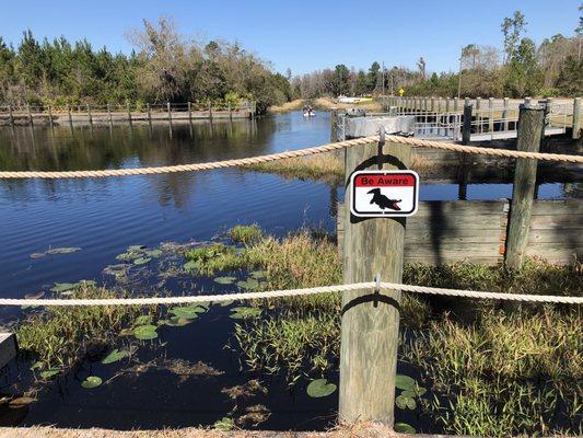 Boat dock reminder