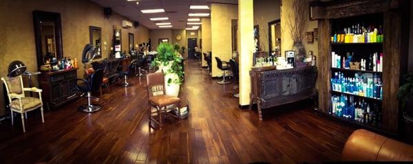 Salon Colour Dunwoody