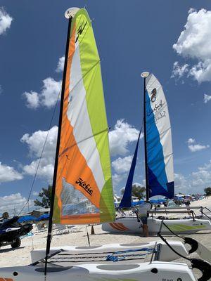 Hobies catamarans at Coastal Watersports.