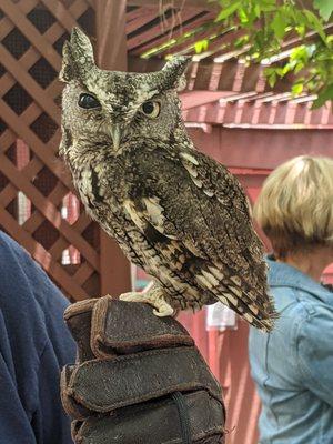 Nature and Raptor Center of Pueblo