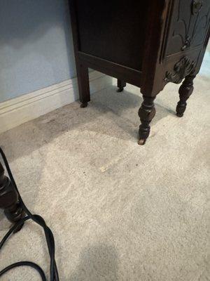 The spot was under the furniture. Still full of water and cat hair.