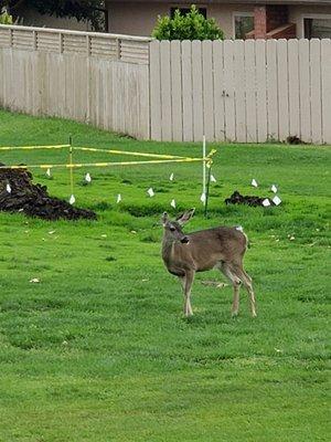 7th Tee off