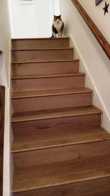 Friendly Steps Flooring