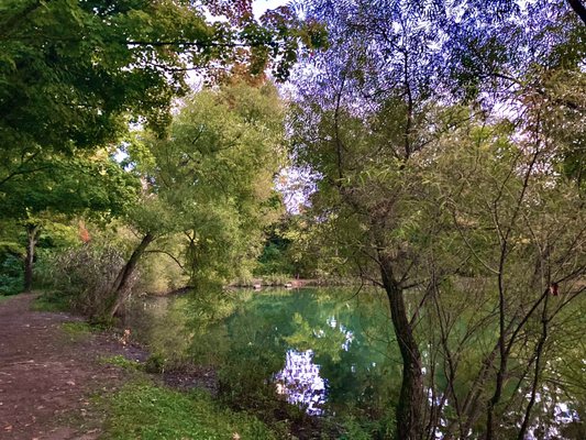 Fenimore Woods Park