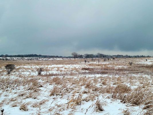 Along the Prairie Loop in November.