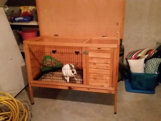 A rabbit hutch purchased from Orschlens. Assembled by us!