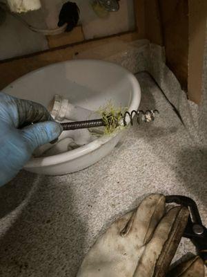 These little roots can invade anywhere, even into sink drains, but the 3/8 cable will reach into the smallest drain lines.