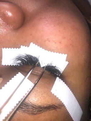 Isolation is the key to great lash extensions