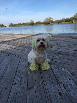 A walk on the bayou