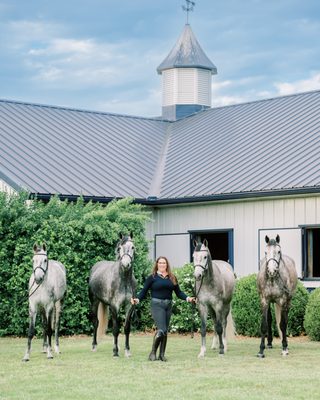 rider with 4 horses