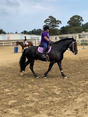 Me doing dressage on Jack.