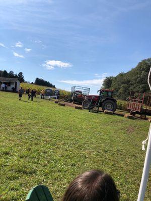 Hayrides to pumpkin patch.