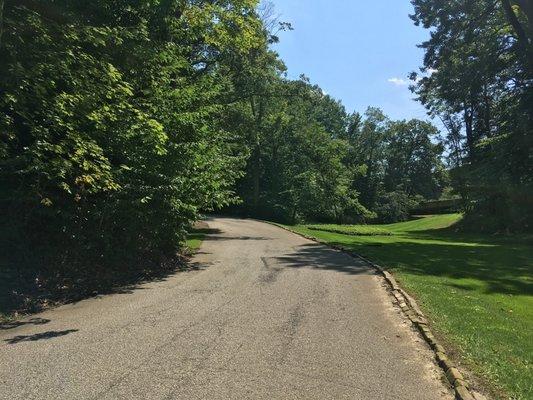 Trail on the grounds near Bolton house behind legacy village