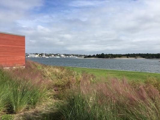 View from the Marine Lab