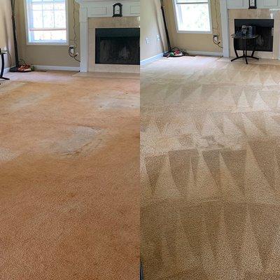 @jtcarpetcleaningservices