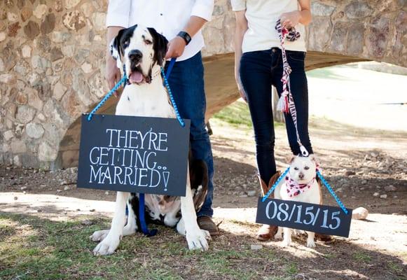 Love You By Design takes beautiful Wedding Announcement Photos